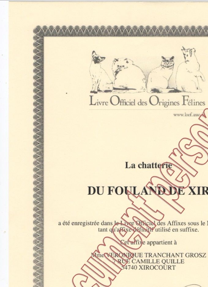Enregistrement de la chatterie au LOOF / livre officiel des origines félines